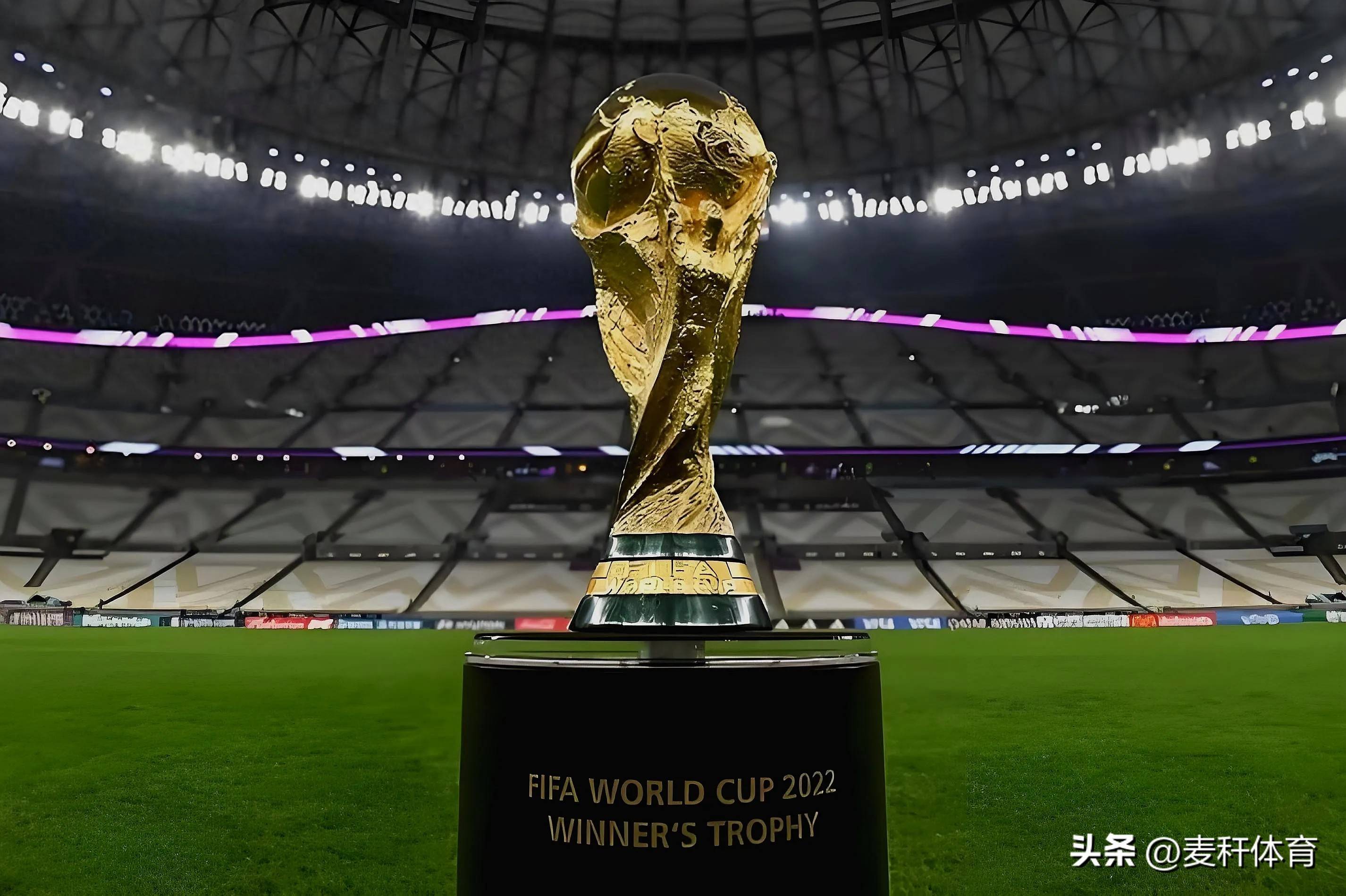 以更好地参 以更好地参