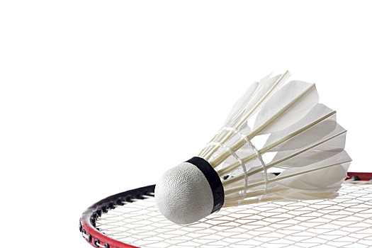 他帮助球队 他帮助球队