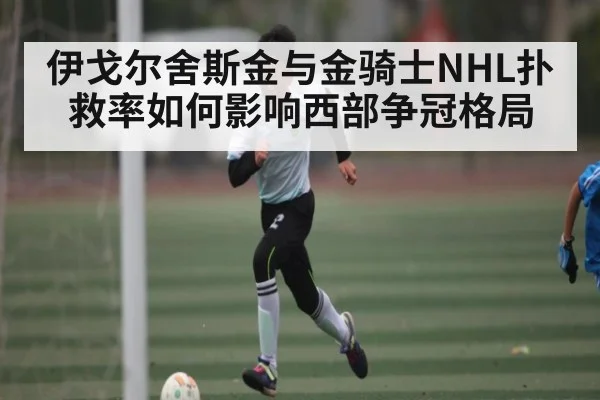 伊戈尔舍斯金与金骑士NHL扑救率如何影响西部争冠格局 | ng28