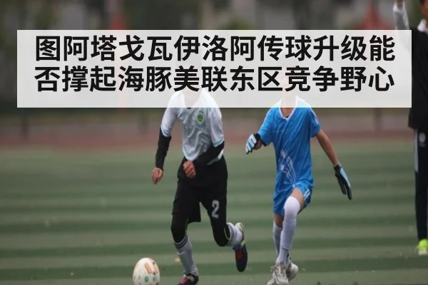 图阿塔戈瓦伊洛阿传球升级能否撑起海豚美联东区竞争野心 | ng28